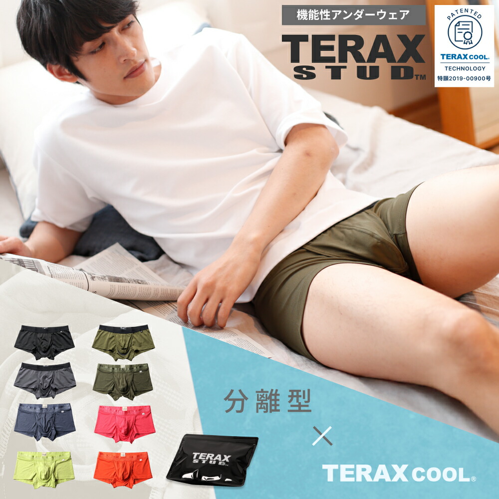 TERAX CARETECT（テラックス ケアテクト） 【Begin 掲載】 TERAX STUD