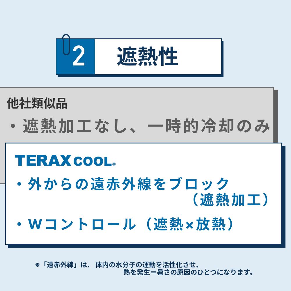 TERAX CARETECT（テラックス ケアテクト） 【Begin 掲載】 TERAX STUD