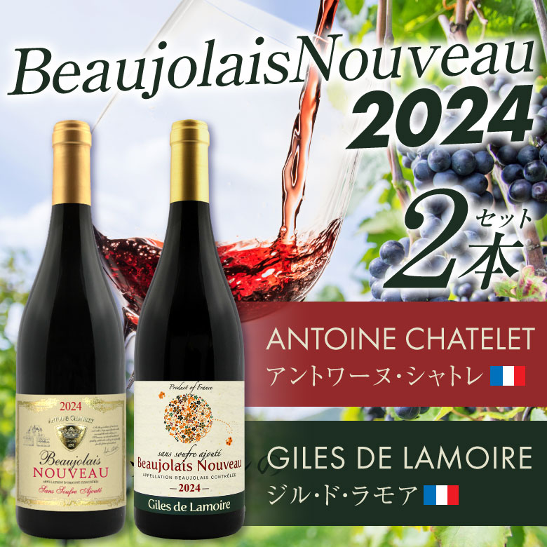 ボジョレー　エノテカ　ジルドラモア　beaujolais 2024年　8本 ボジョレー エノテカ ジルドラモア beaujolais 2024年 8本