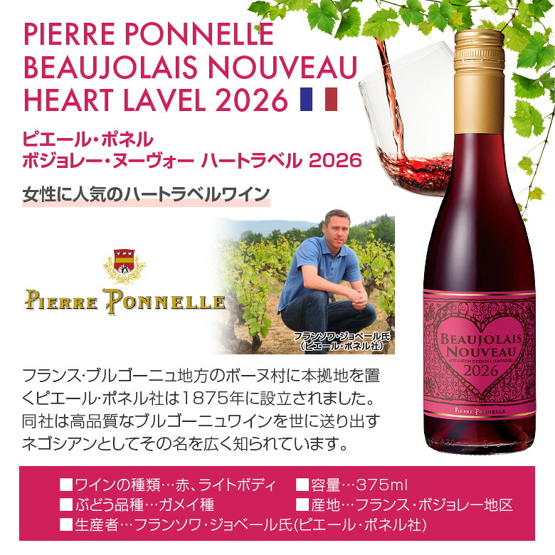 ボジョレー ヌーボー ハーフサイズ6種 飲み比べ ボジョレーヌーボー