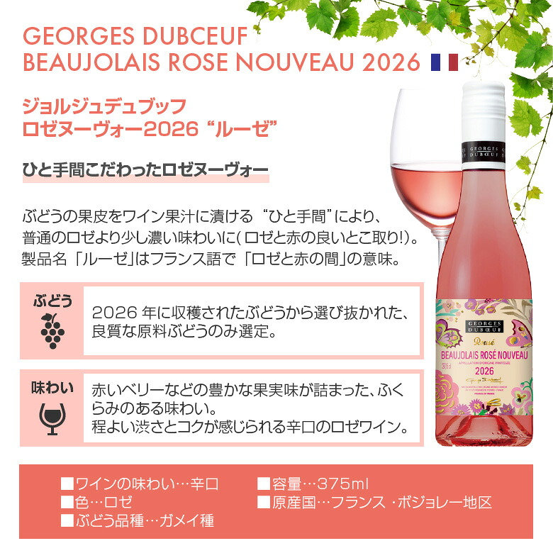 ボジョレー ヌーボー ハーフサイズ6種 飲み比べ ボジョレーヌーボー