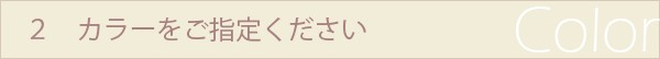 2.カラーをご指定下さい　項目