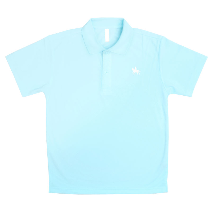 伊達政宗 ポロシャツ 半袖 レディース メンズ 吸水速乾 ゴルフ ゴルフ