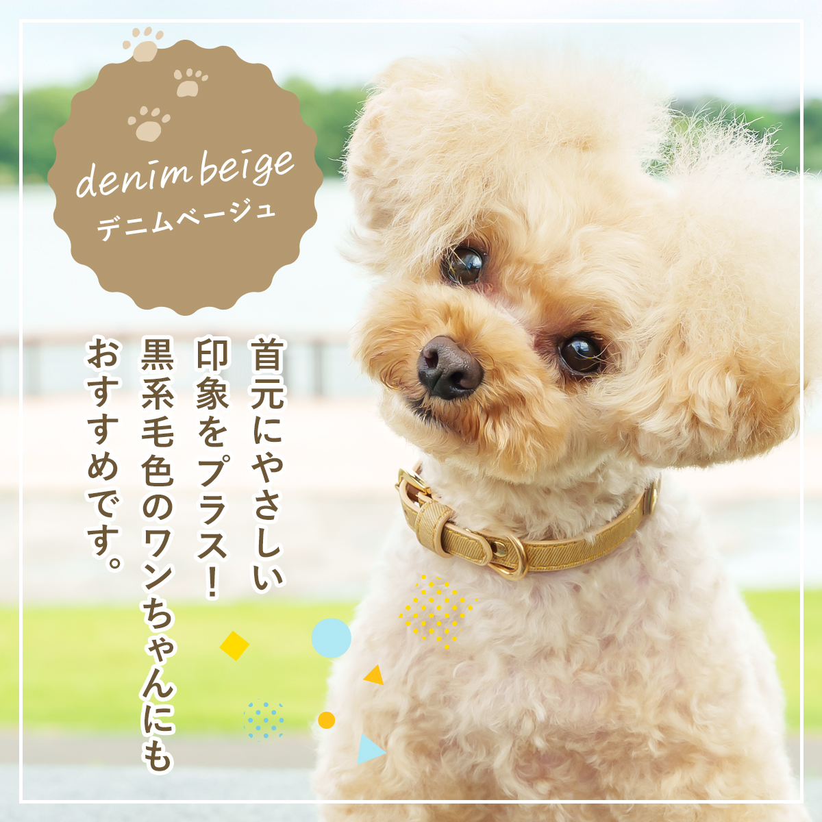 犬の首輪屋てるべる 名前入り 犬 首輪 猫 迷子札 チョーカー 犬首輪 猫