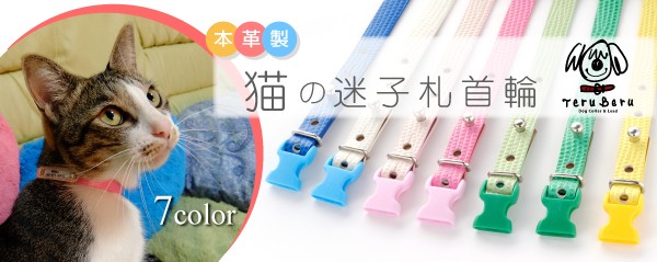 タイトル画像