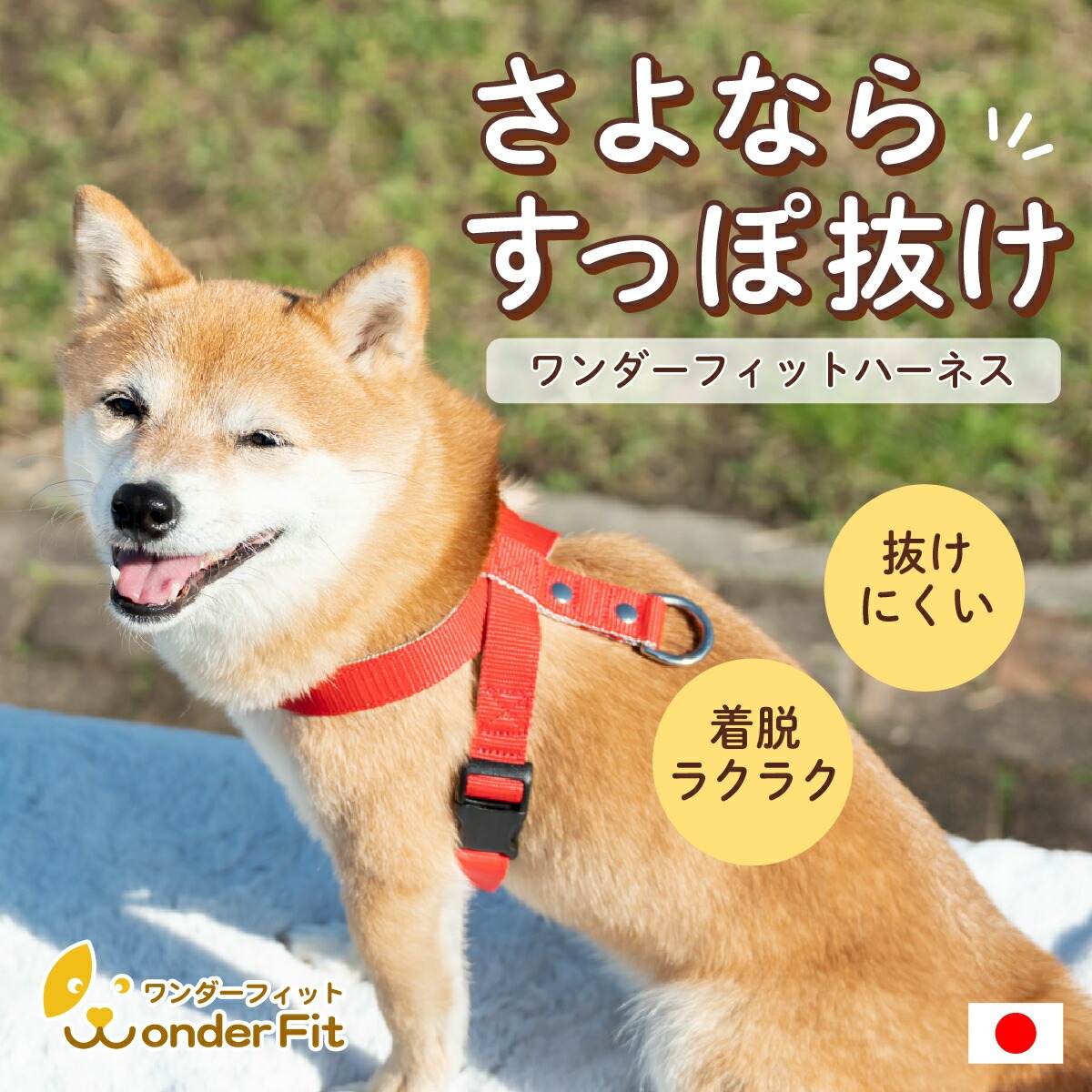 犬の首輪屋てるべる - Yahoo!ショッピング