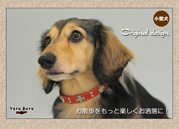 犬の首輪屋てるべる 犬 首輪 犬首輪 犬の首輪 おしゃれ かわいい