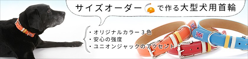 かわいい大型犬首輪