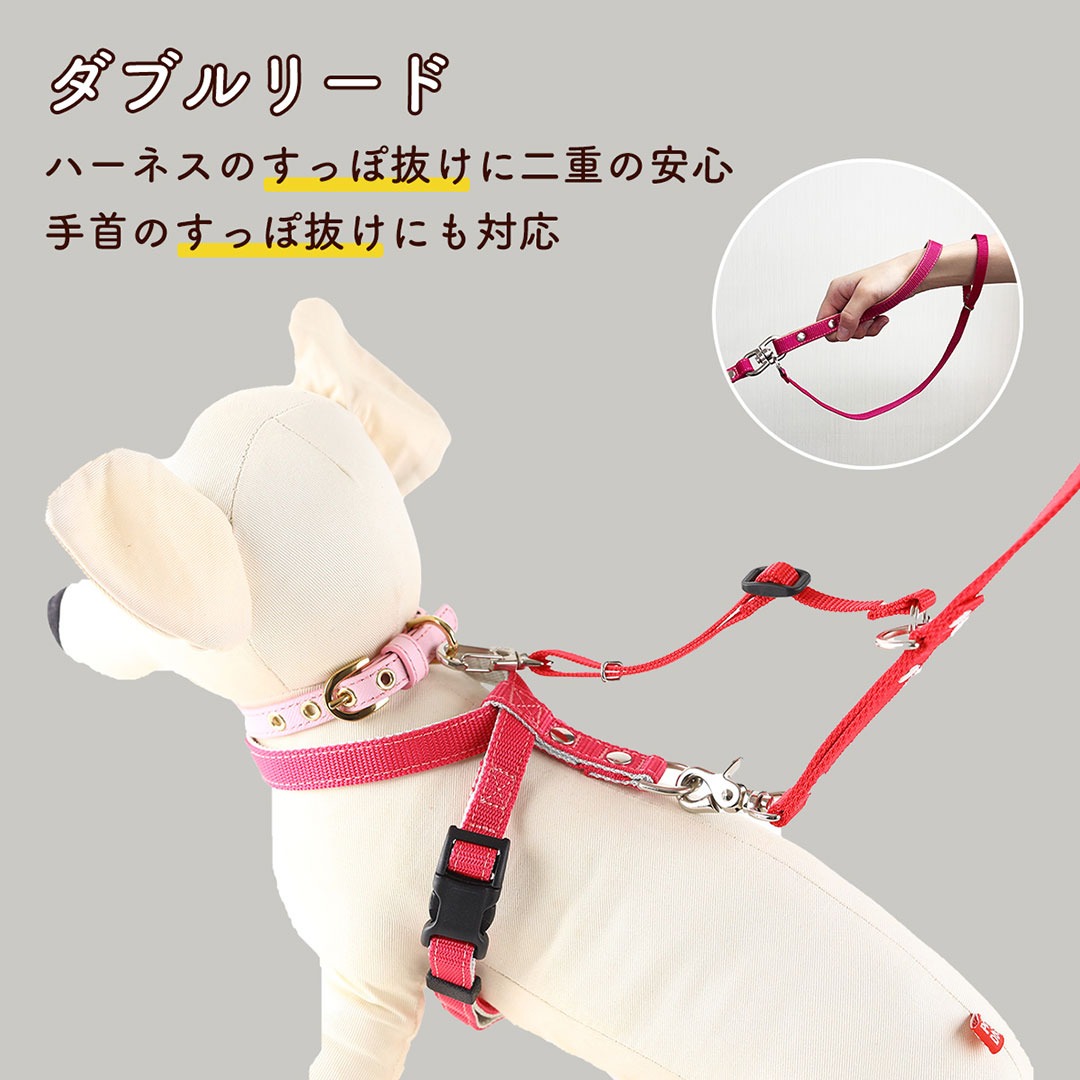 ハーネスのすっぽ抜け対策に効果的な「ダブルリード」とは？ - 犬の