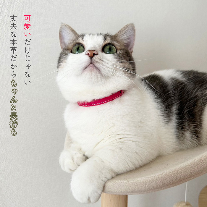 猫 首輪 ネコ ねこ 安全 革 かわいい おしゃれ セーフティ 皮 猫の首輪