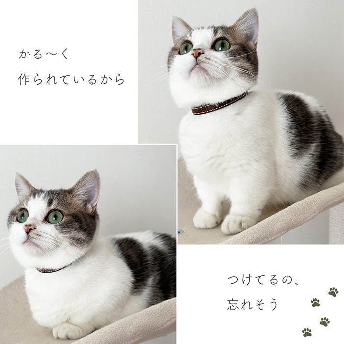 猫 首輪 ネコ ねこ 安全 革 かわいい おしゃれ セーフティ 皮 猫の首輪