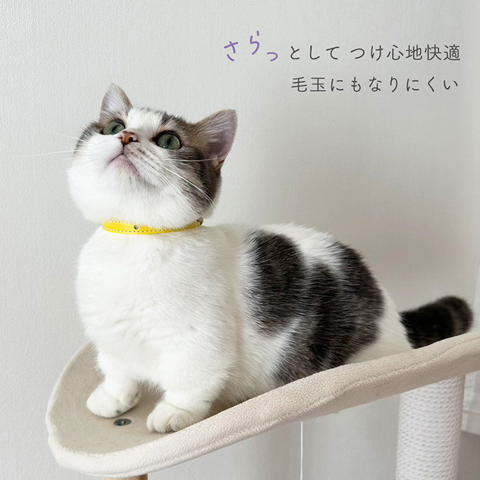 猫 首輪 ネコ ねこ 安全 革 かわいい おしゃれ セーフティ 皮 猫の首輪