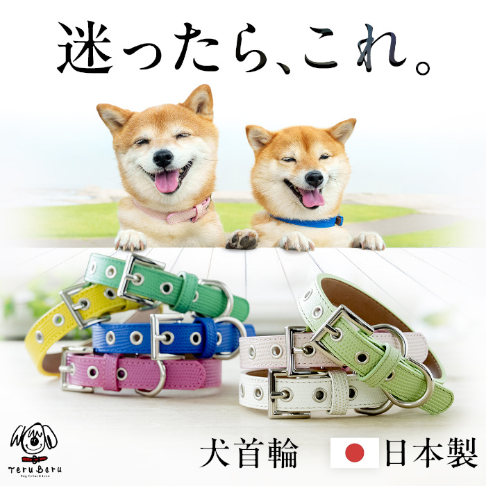 犬の首輪屋てるべる 犬 首輪 犬首輪 犬の首輪 おしゃれ かわいい