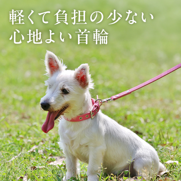 犬の首輪屋てるべる 犬 首輪 犬首輪 犬の首輪 おしゃれ かわいい