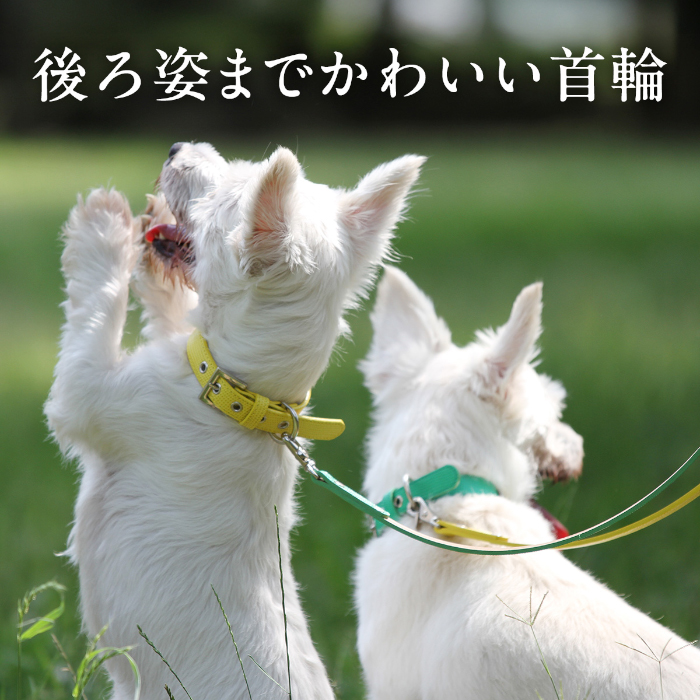 犬の首輪屋てるべる 犬 首輪 犬首輪 犬の首輪 おしゃれ かわいい