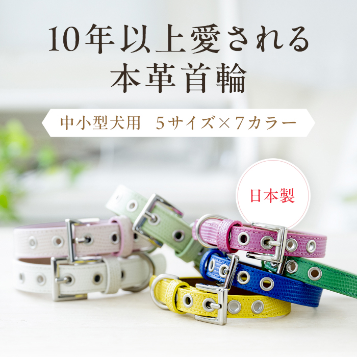 犬 首輪 犬首輪 犬の首輪 おしゃれ かわいい ブランド 迷子札 中型犬 小型犬 小型犬用 超小型犬 いぬ くびわ 革 レザー 皮 軽い 柴犬 チワワ OTM-2 関連画像1