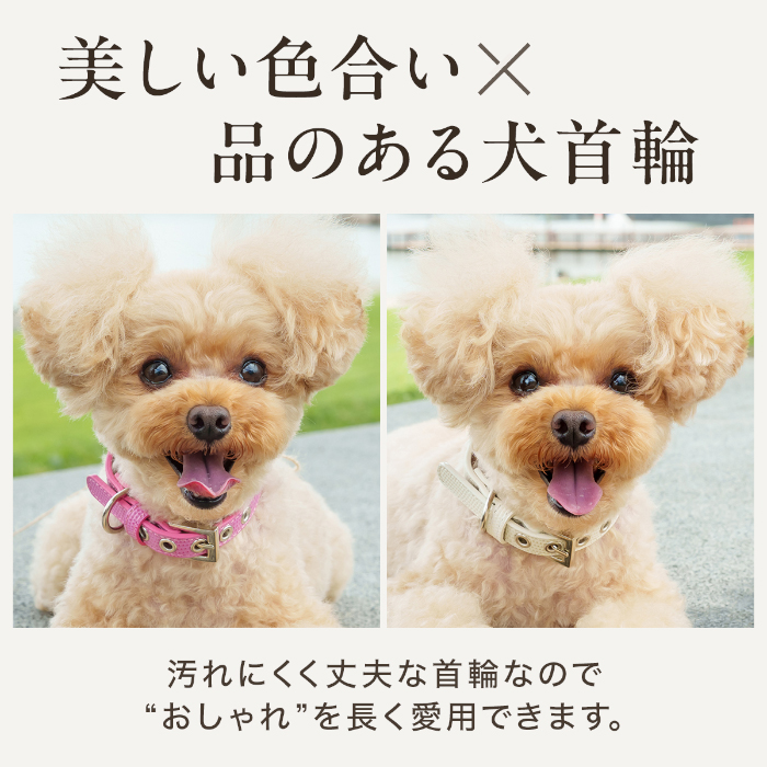 犬 首輪 犬首輪 犬の首輪 おしゃれ かわいい ブランド 迷子札 中型犬 小型犬 小型犬用 超小型犬 いぬ くびわ 革 レザー 皮 軽い 柴犬 チワワ OTM-2 関連画像2