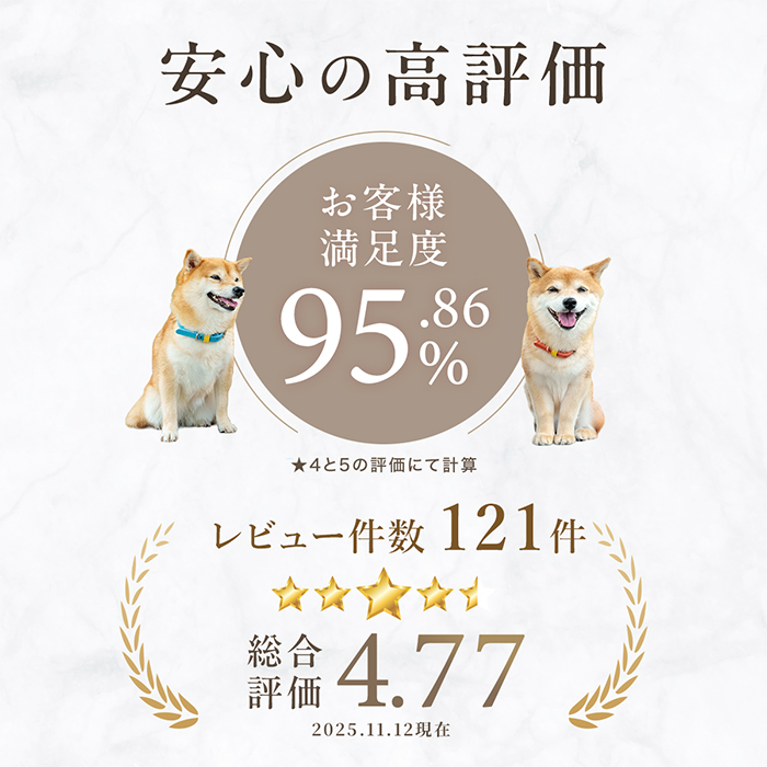 犬 首輪 犬首輪 犬の首輪 おしゃれ かわいい ブランド 迷子札 中型犬 小型犬 小型犬用 超小型犬 いぬ くびわ 革 レザー 皮 軽い 柴犬 チワワ OTM-2 関連画像3