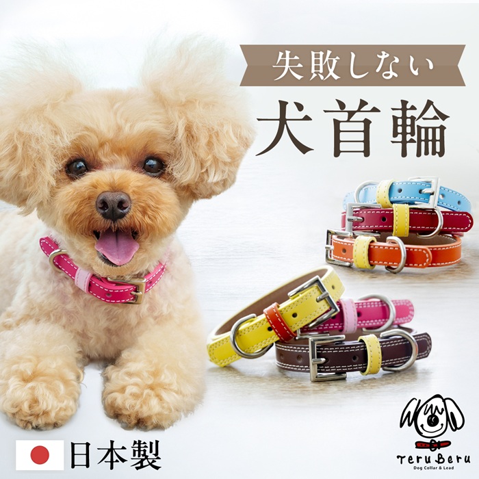 犬の首輪屋てるべる 犬 首輪 犬首輪 犬の首輪 おしゃれ かわいい