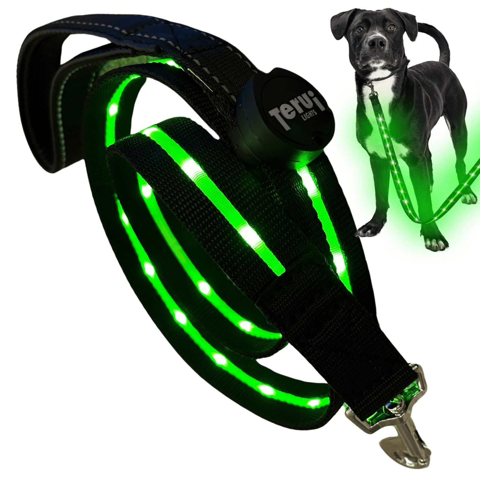 TERUI Lights 犬 リード 光る led ライト付き 充電式 1.2m ドッグ