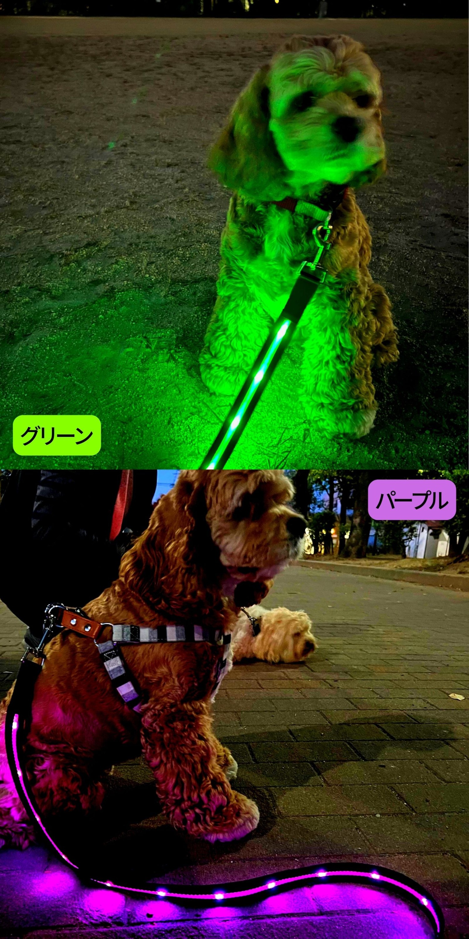 犬 リード 光る led ライト 充電式 1.2m ドッグリード おしゃれ