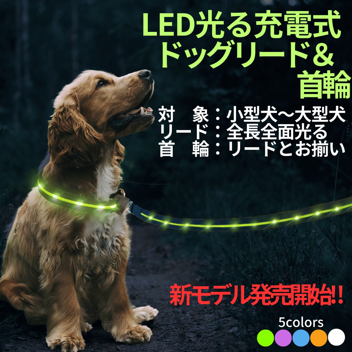 TERUI Lights 犬 リード 首輪 光る led ライト 充電式 セット おしゃれ