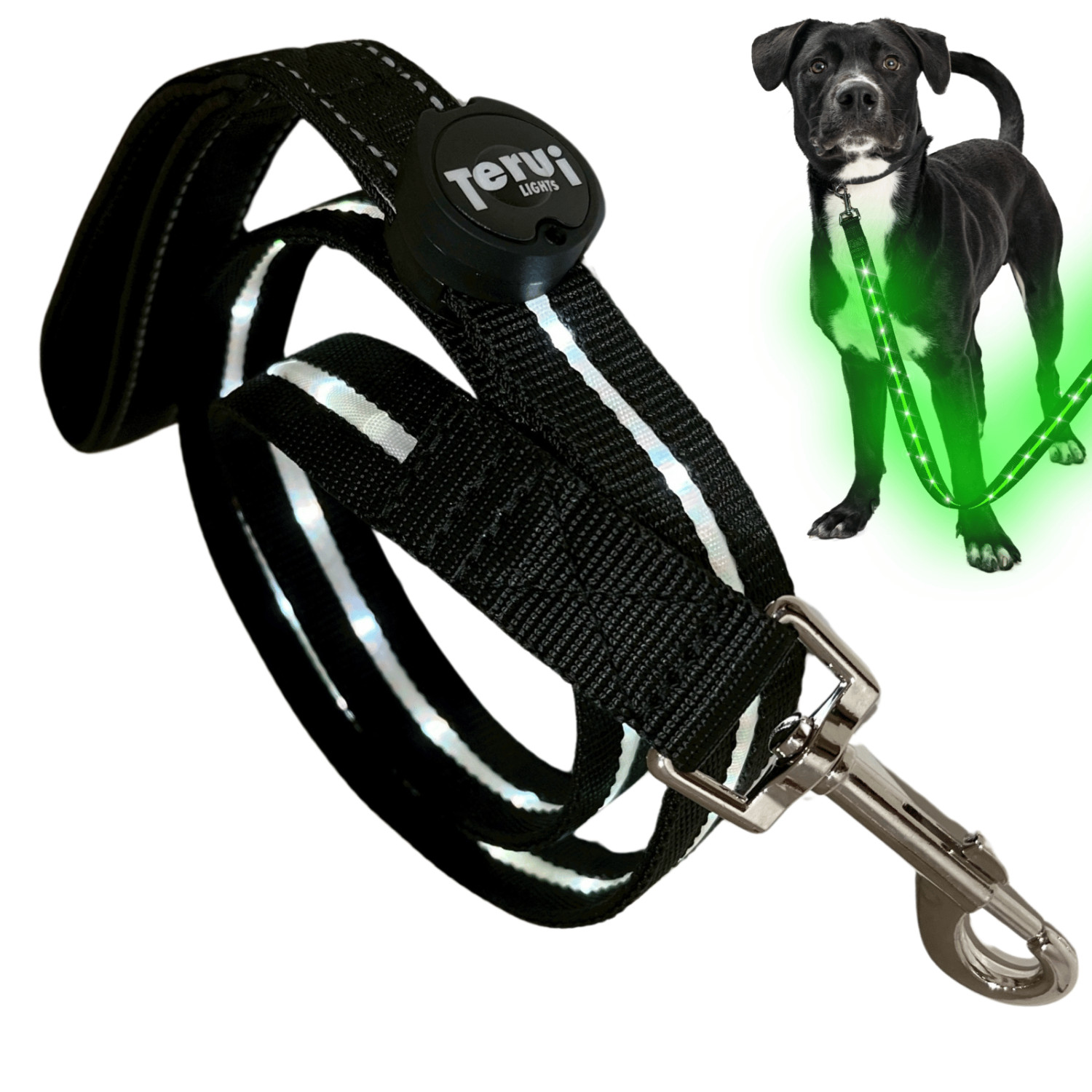 TERUI Lights 犬 リード 光る led ライト付き 充電式 1.2m ドッグ