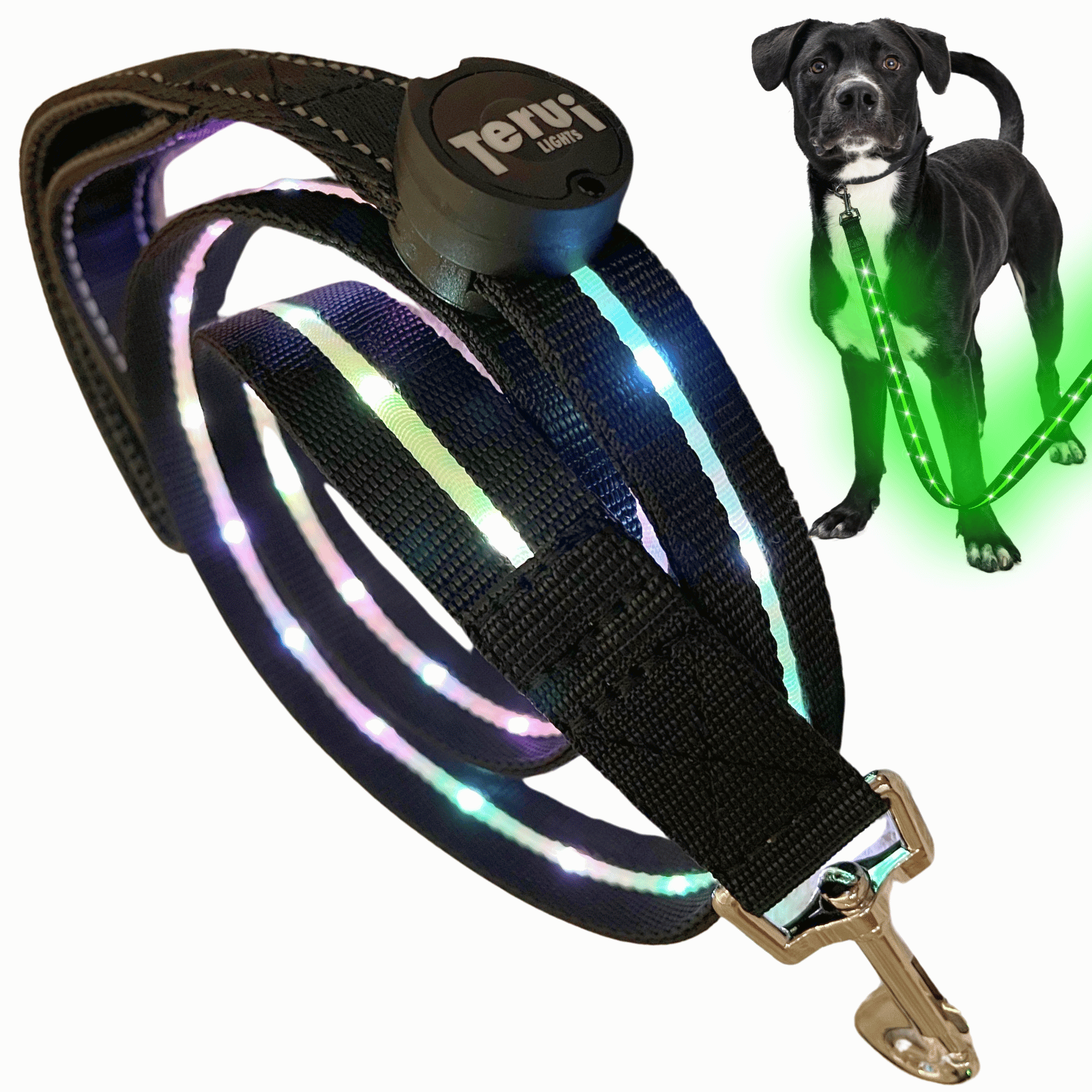TERUI Lights 犬 リード 光る led ライト付き 充電式 1.2m ドッグ