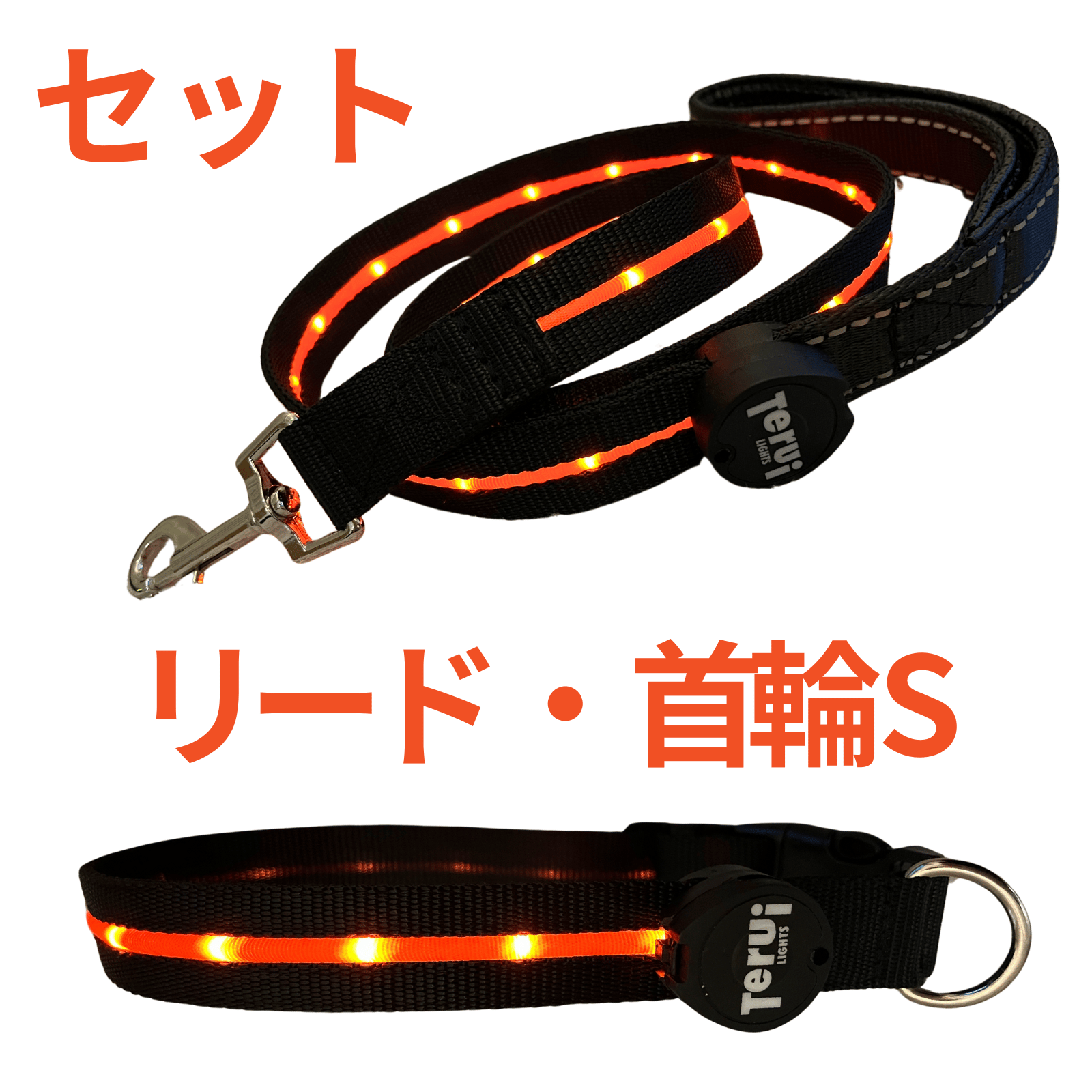 TERUI Lights 犬 リード 首輪 光る led ライト 充電式 セット おしゃれ