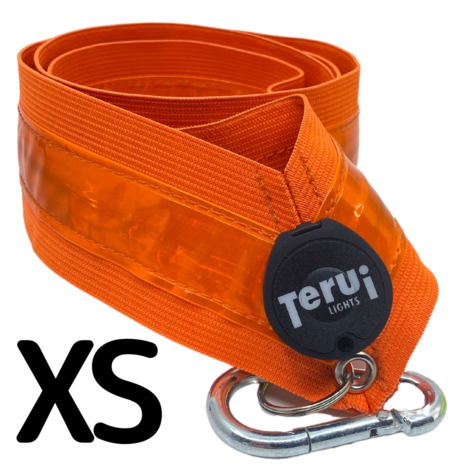 TERUI Lights 反射 タスキ LED ライト 光る ランニングライト 充電式