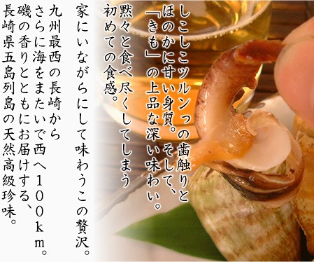 天然 活ちゃんばら貝（チャンバラ貝／マガキ貝）1kgセット（約30個