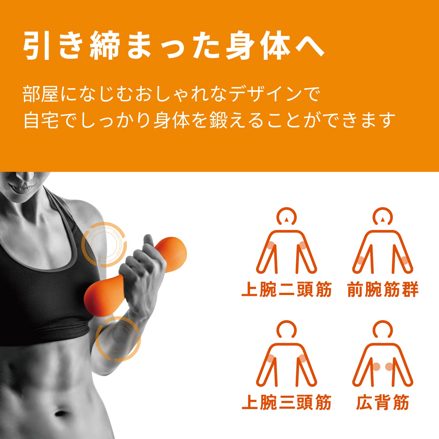 ECLEAR ダンベル 1.5kg エレコム 筋トレ トレーニング ダイエット