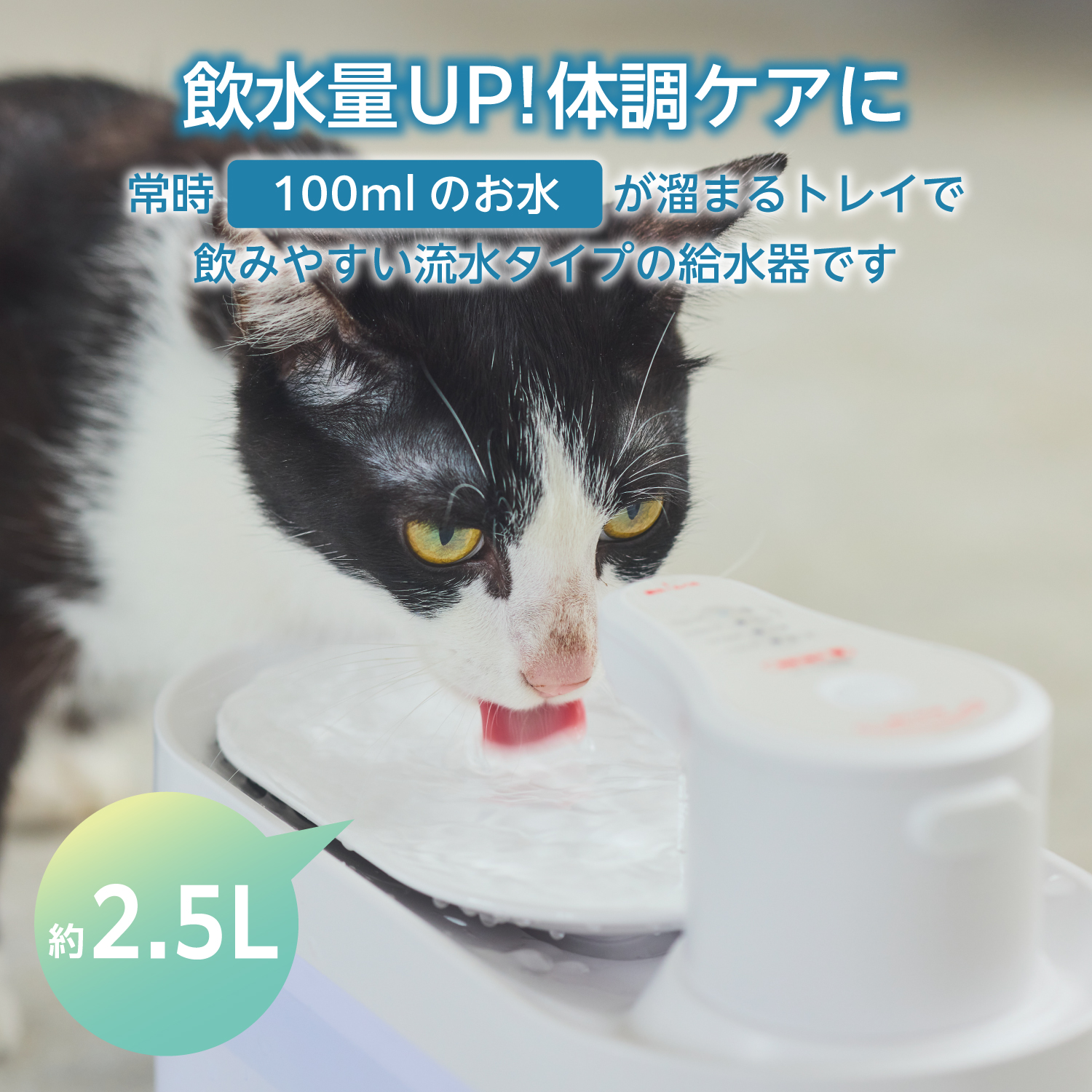 ELECOM（エレコム） ペット給水器 自動給水器 猫 犬 コードレス ペット
