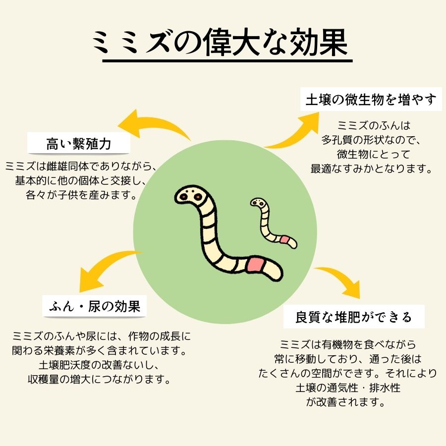 資材】 ミミズのお家 約1L 5号鉢付き 土壌活性剤 みみず : てしまの苗