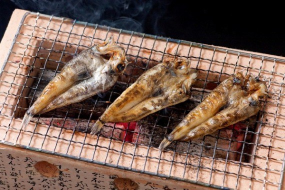 目光開き干物 3l 5枚真空 千葉県産 N 五代目常造 通販 Yahoo ショッピング