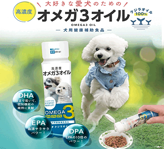 タイトル画像