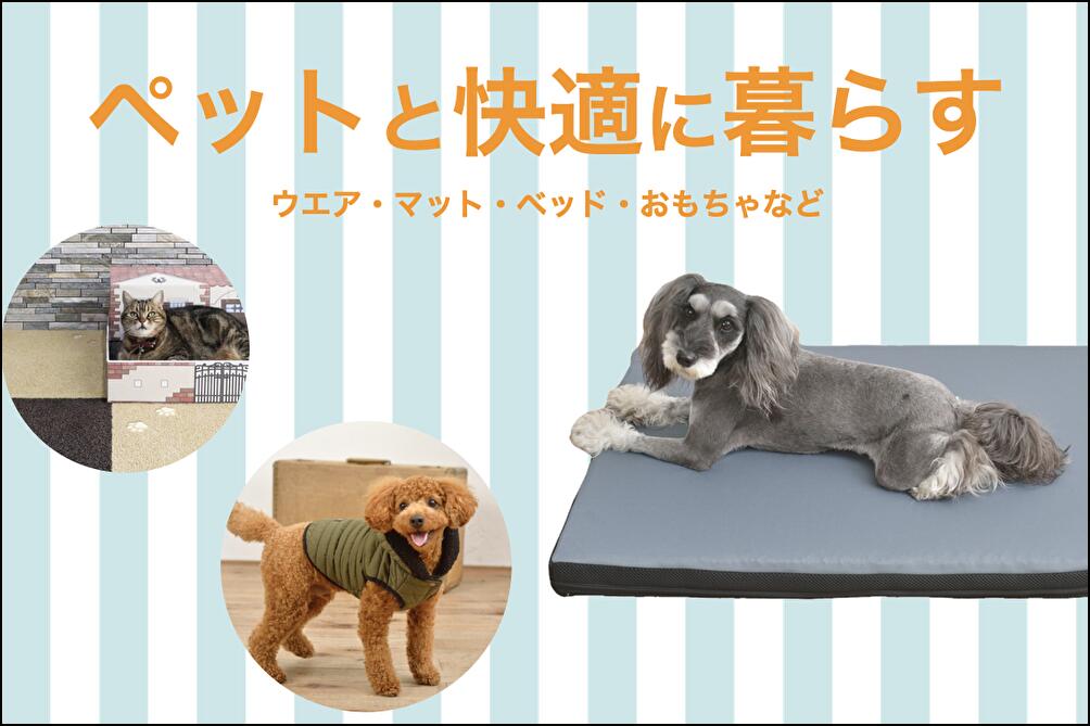 テイジングループ直営 生活雑貨店 - Yahoo!ショッピング