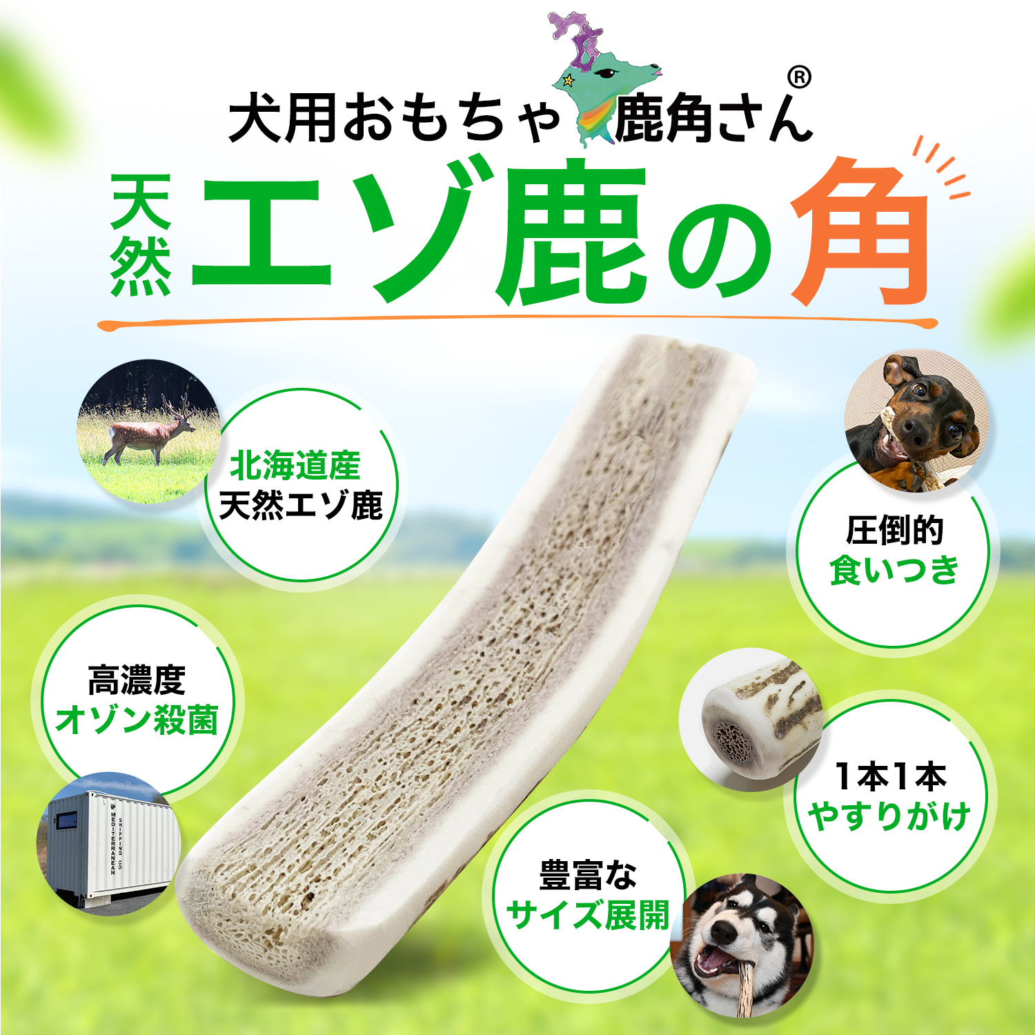 鹿の角 中型 犬 用 鹿角さん 半割り 約15cm 1本 天然 無添加 北海道産
