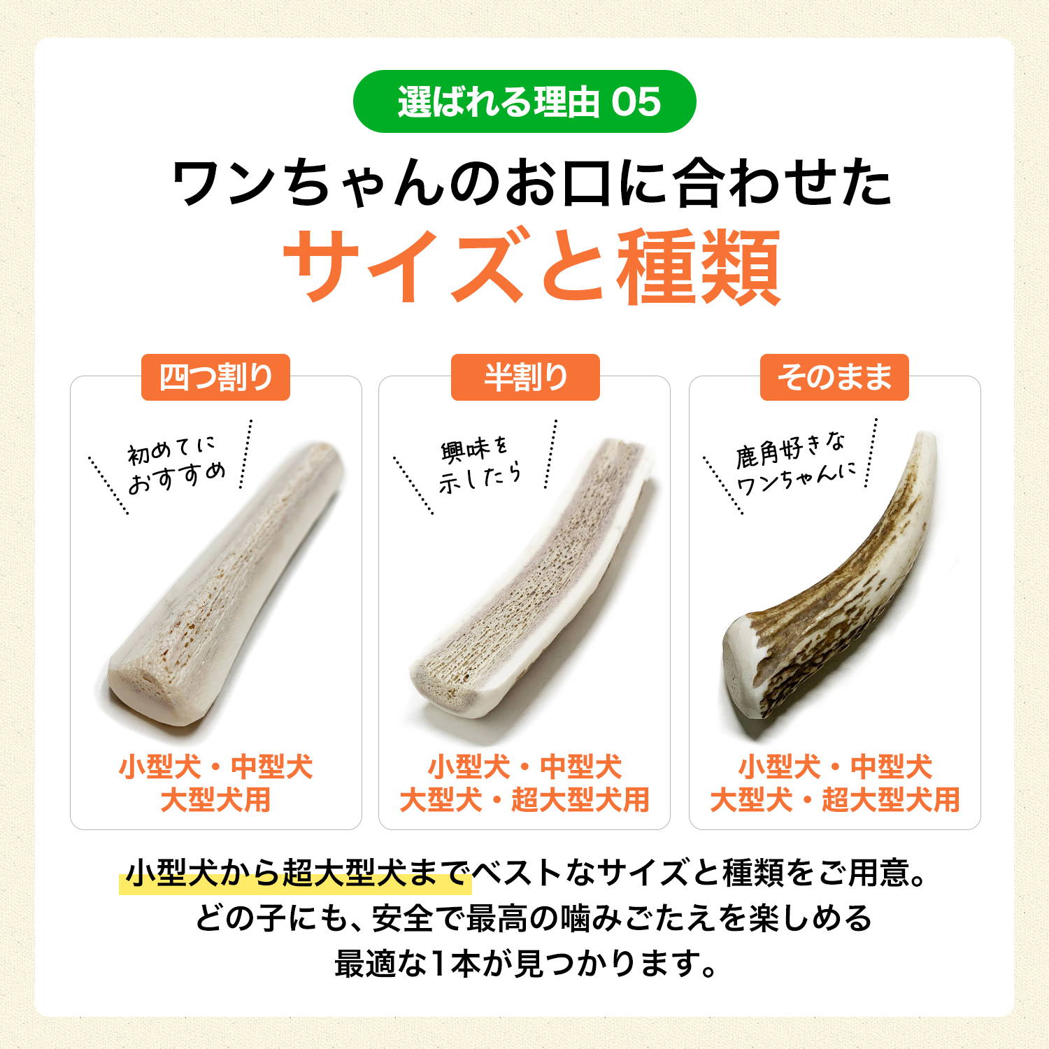鹿の角 小型 犬 用 鹿角さん 割っていないタイプ先端2本 天然 無添加