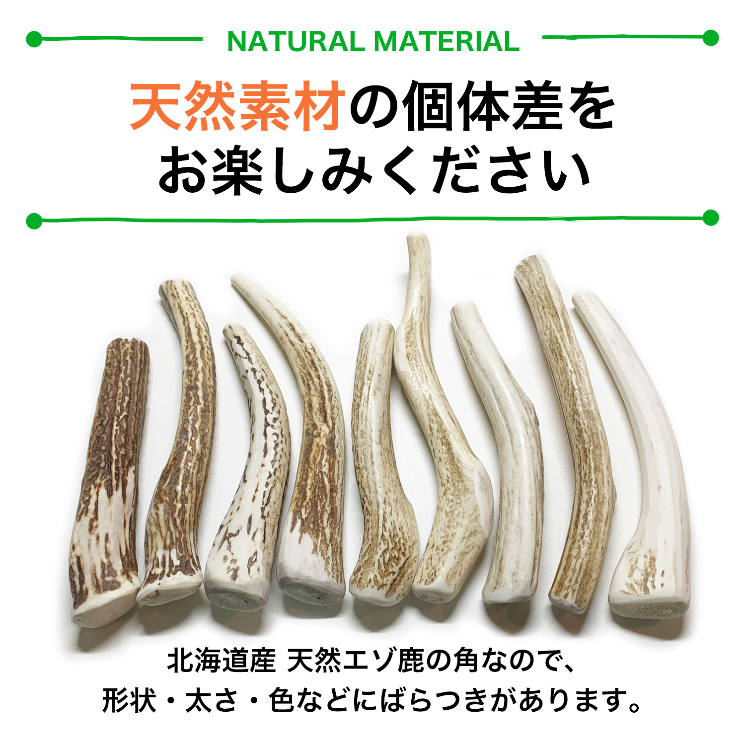 鹿の角 小型 犬 用 鹿角さん 割っていないタイプ先端2本 天然 無添加
