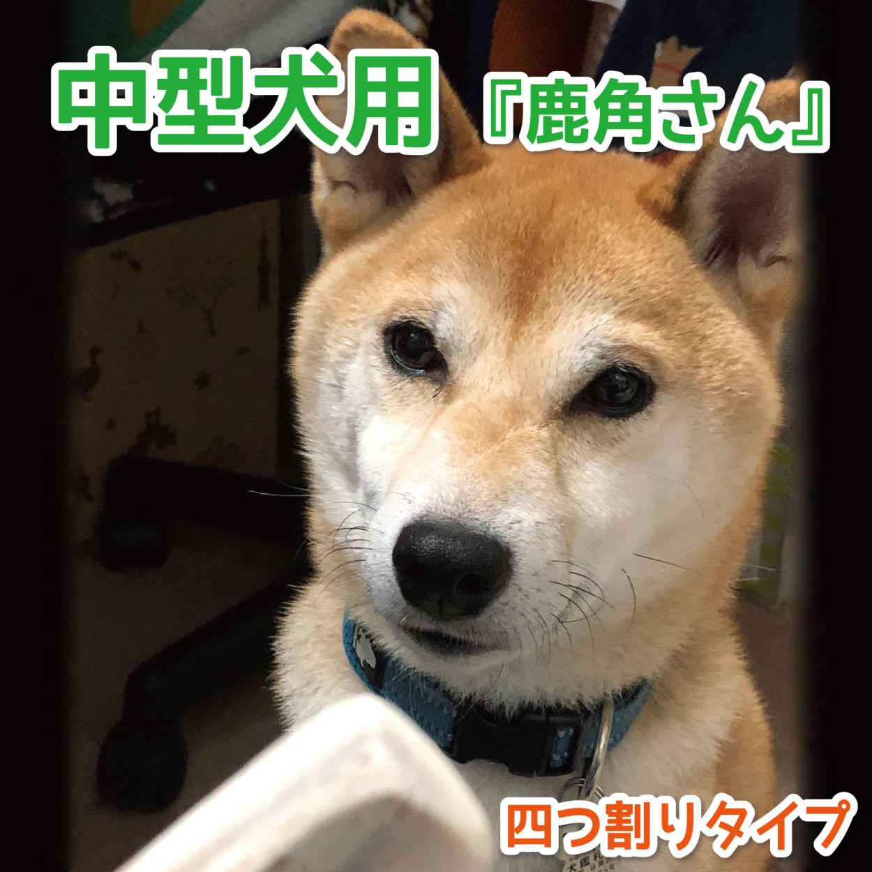 蝦夷鹿の角　中型犬用　