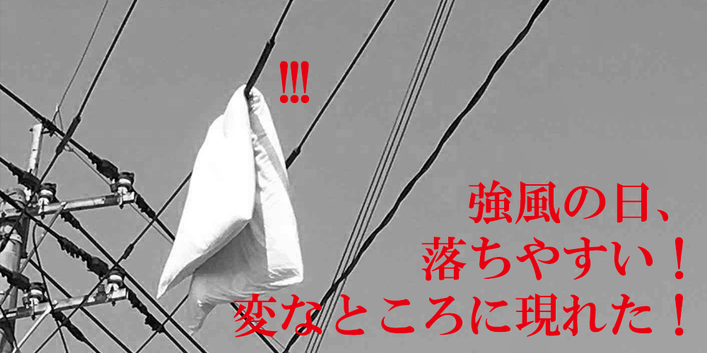 https://shopping.c.yimg.jp/lib/tfg-shop/e-0602-3.jpg