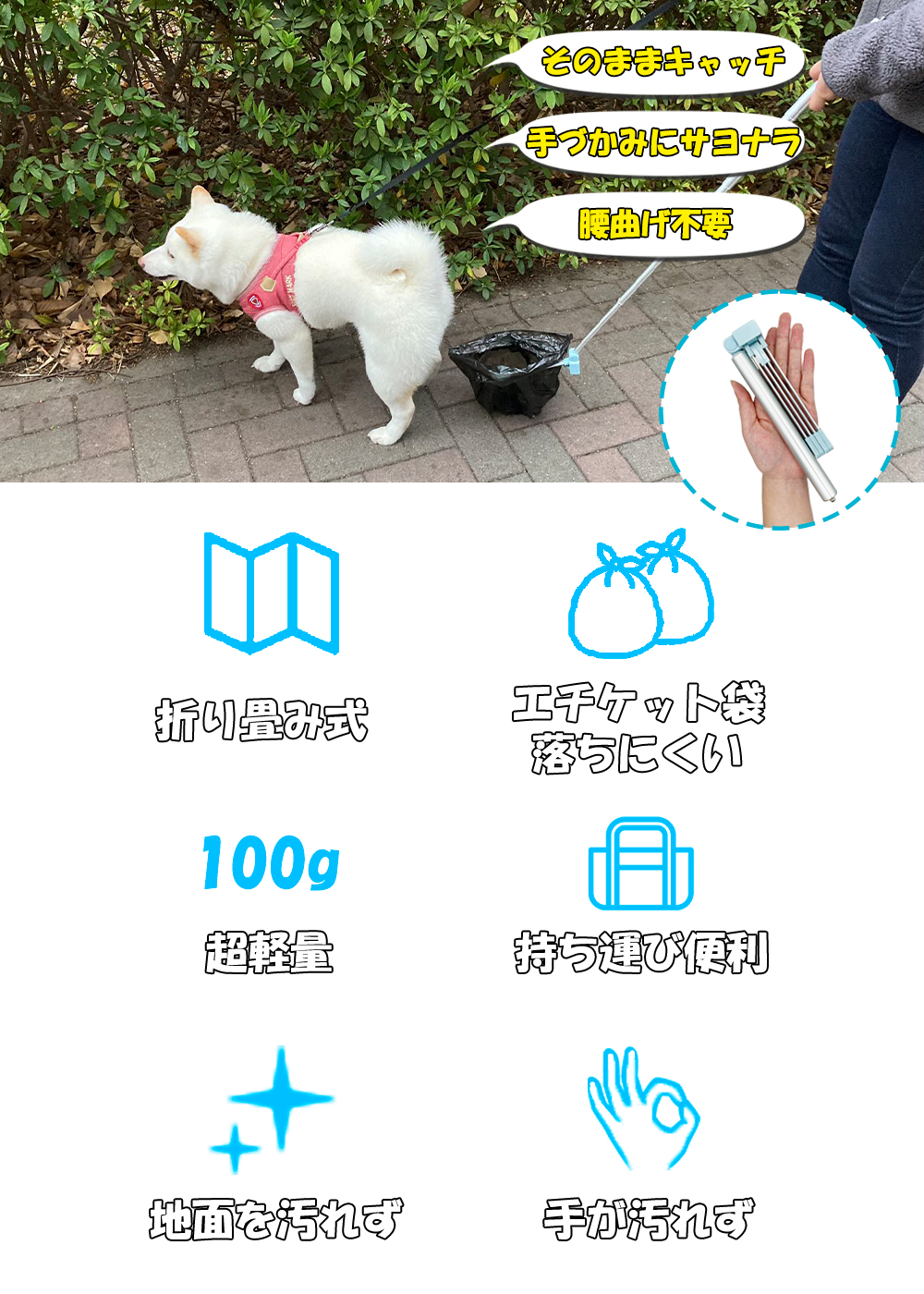 https://shopping.c.yimg.jp/lib/tfg-shop/f-0102-2.jpg