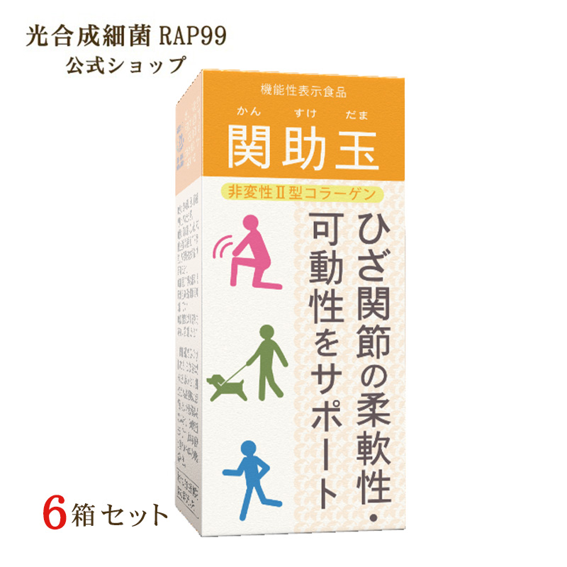 関助玉（かんすけだま）おまとめ　6個セット　 非変性II型コラーゲン