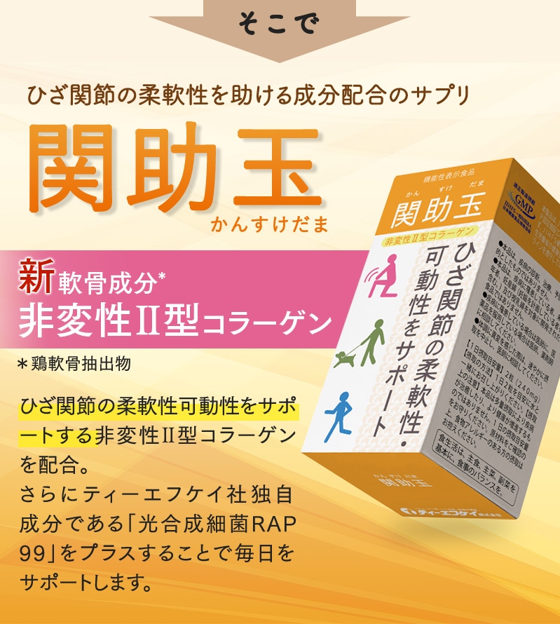 関助玉（かんすけだま）60粒入り　 非変性II型コラーゲン｜tfkkouso｜03