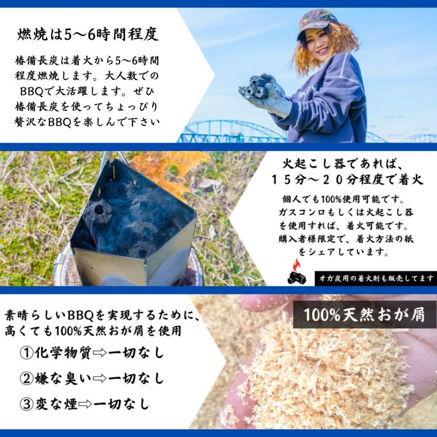TFS 椿備長炭 インドネシア産 オガ炭 (オガタン) 10kg x 3箱