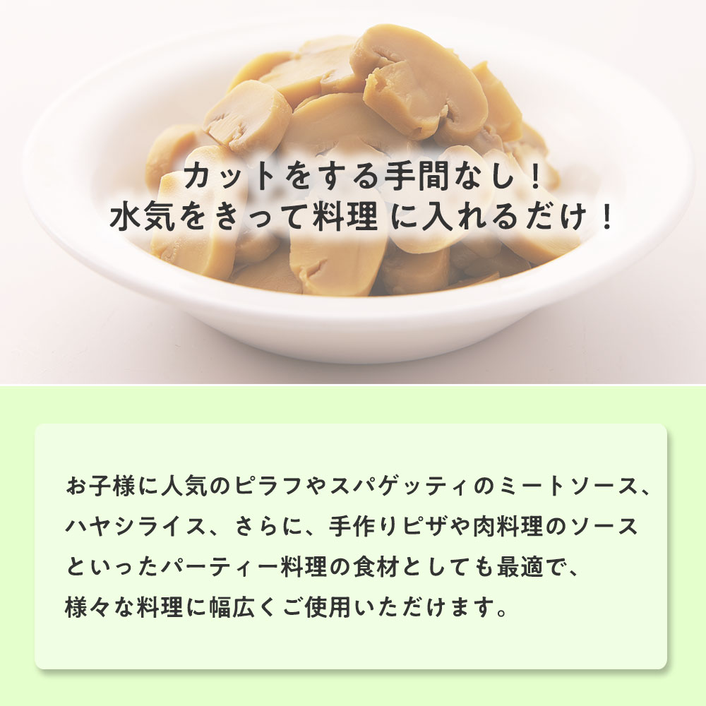 増田産業 ドアポスト KJ-1型郵便受箱 OD-665 耳付き 羽根(フタ