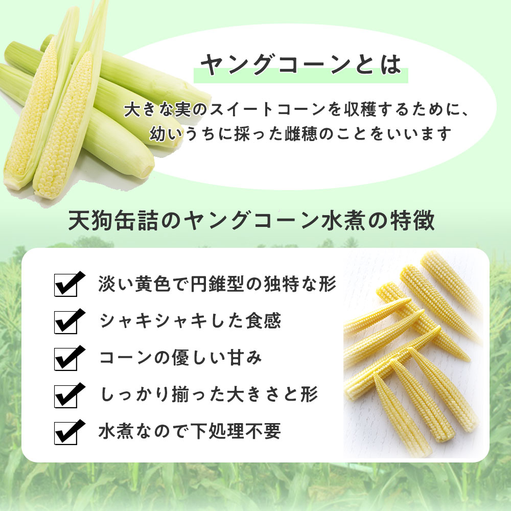 数量限定 予約販売 鹿児島県産 皮付きヤングコーン 40本 朝獲れ