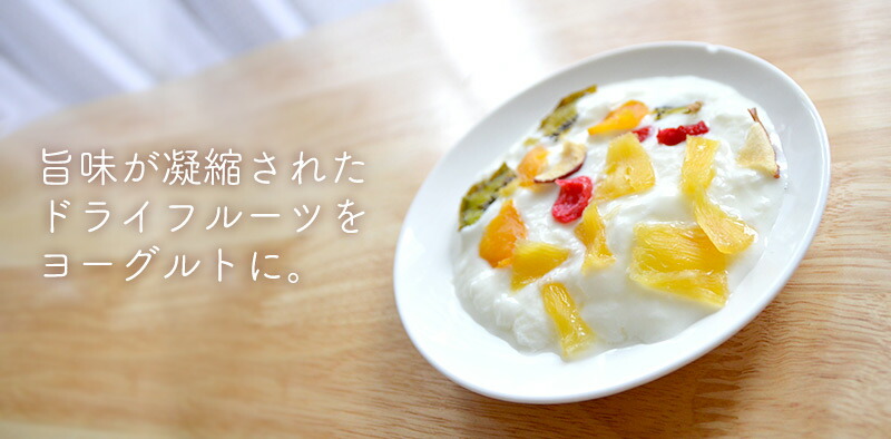 THANKO フードドライヤー ビーフジャーキー おつまみ ドライフード