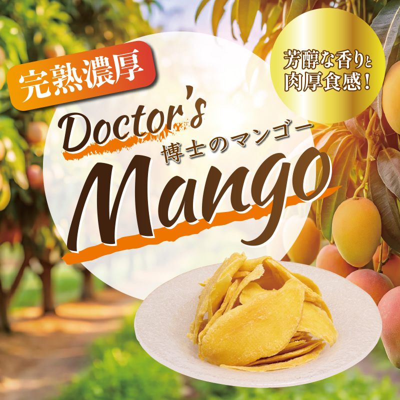 Doctor's Mango 博士のマンゴー ドライフルーツ マンゴー 480g